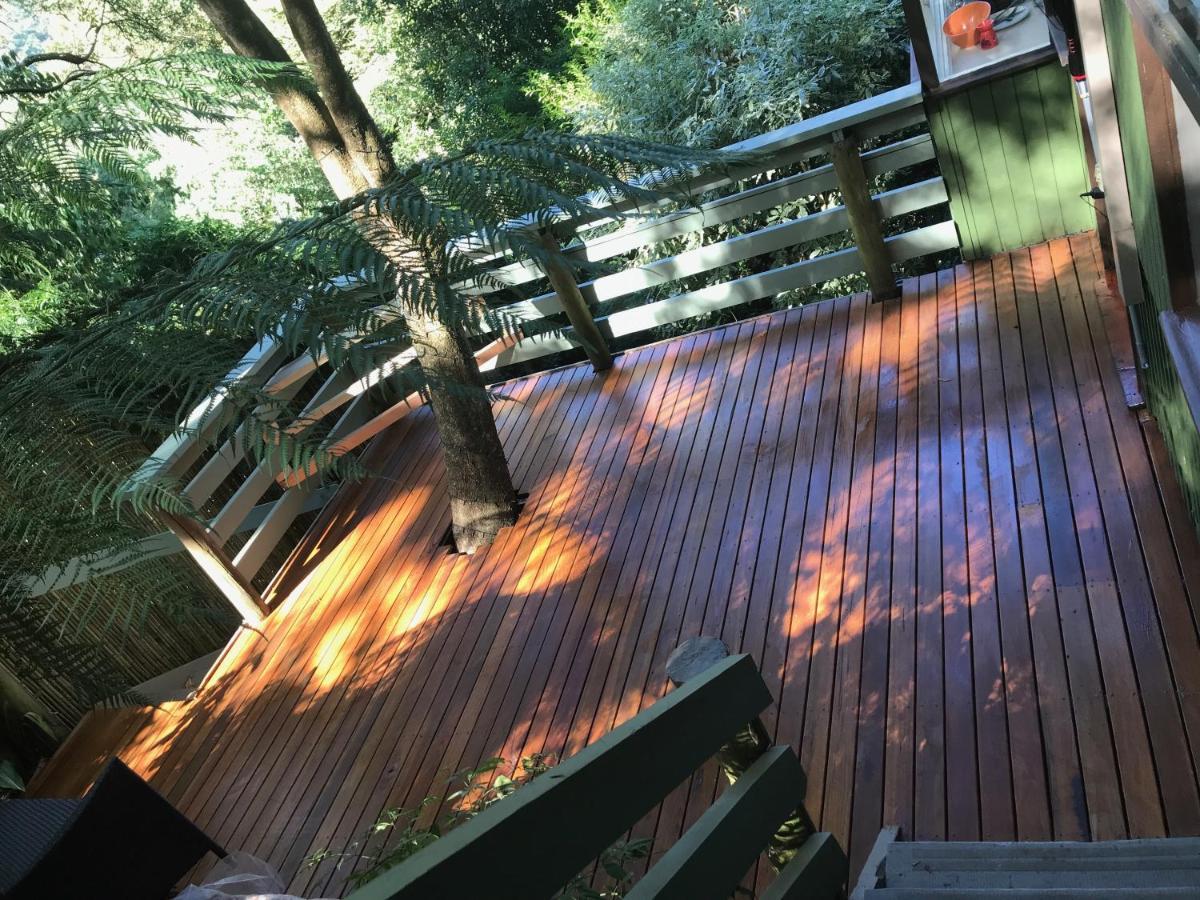 Sassafras Treehouse Private Home In The Dandenong Ranges, Victoria エクステリア 写真
