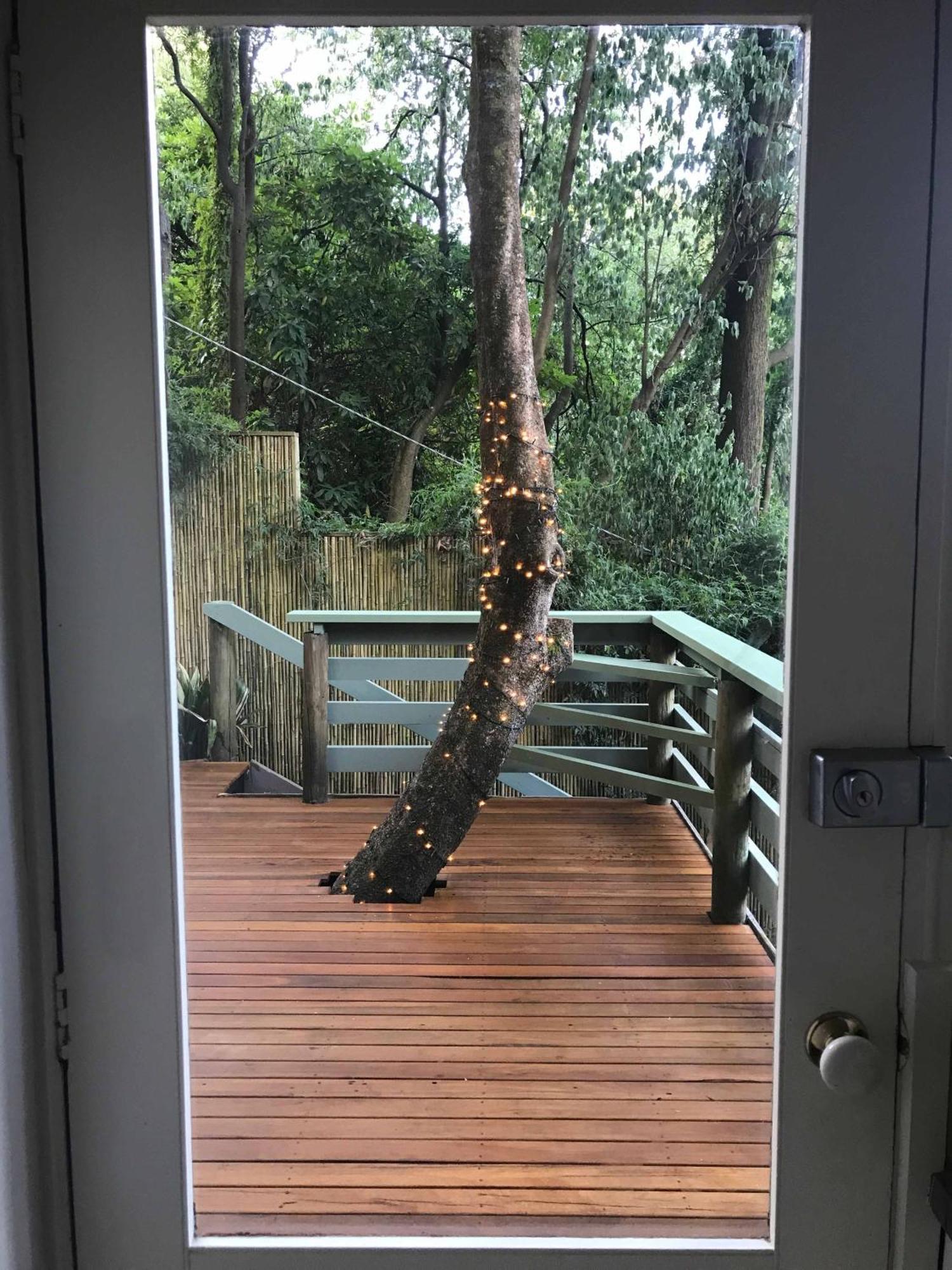 Sassafras Treehouse Private Home In The Dandenong Ranges, Victoria エクステリア 写真